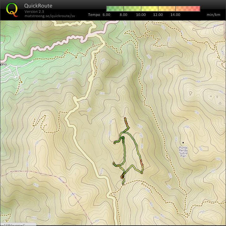 Foresta Setti di Frasetti (2011-08-16)