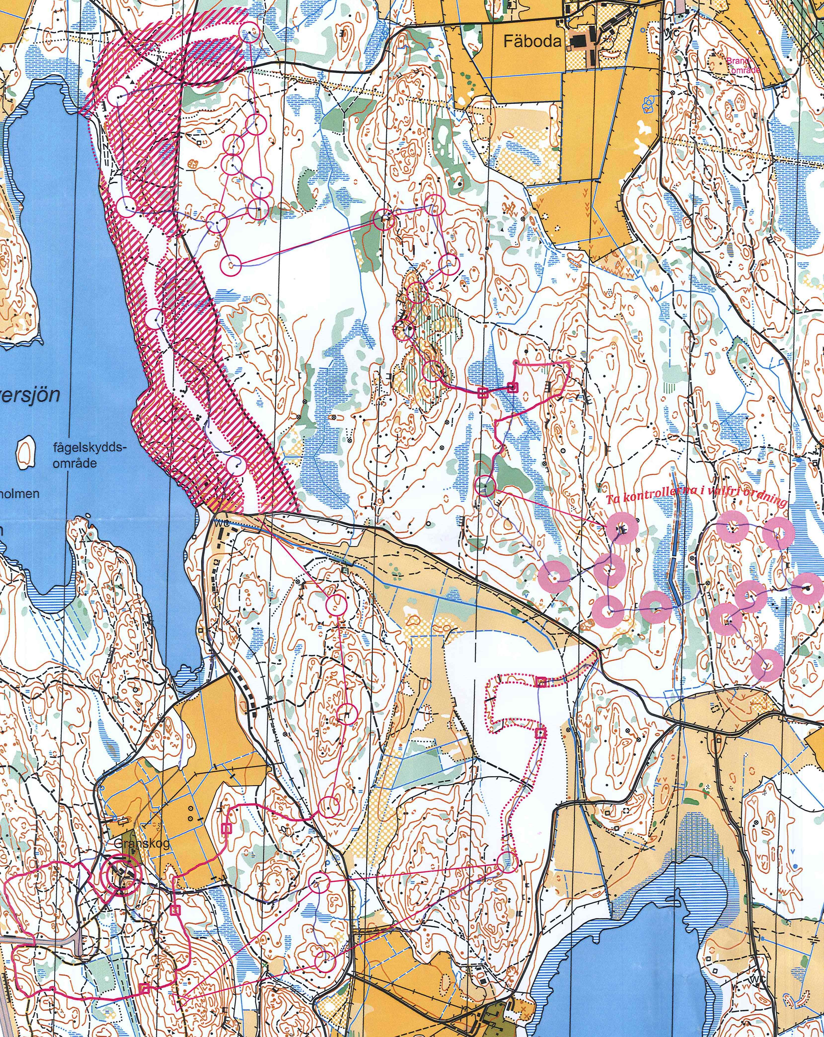 StOF Juniorträning (2013-11-30)