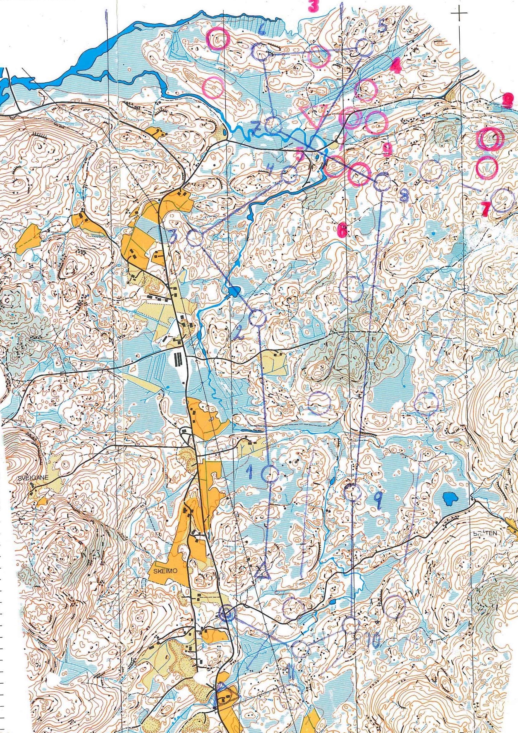 Tränings-OL (30-06-1984)