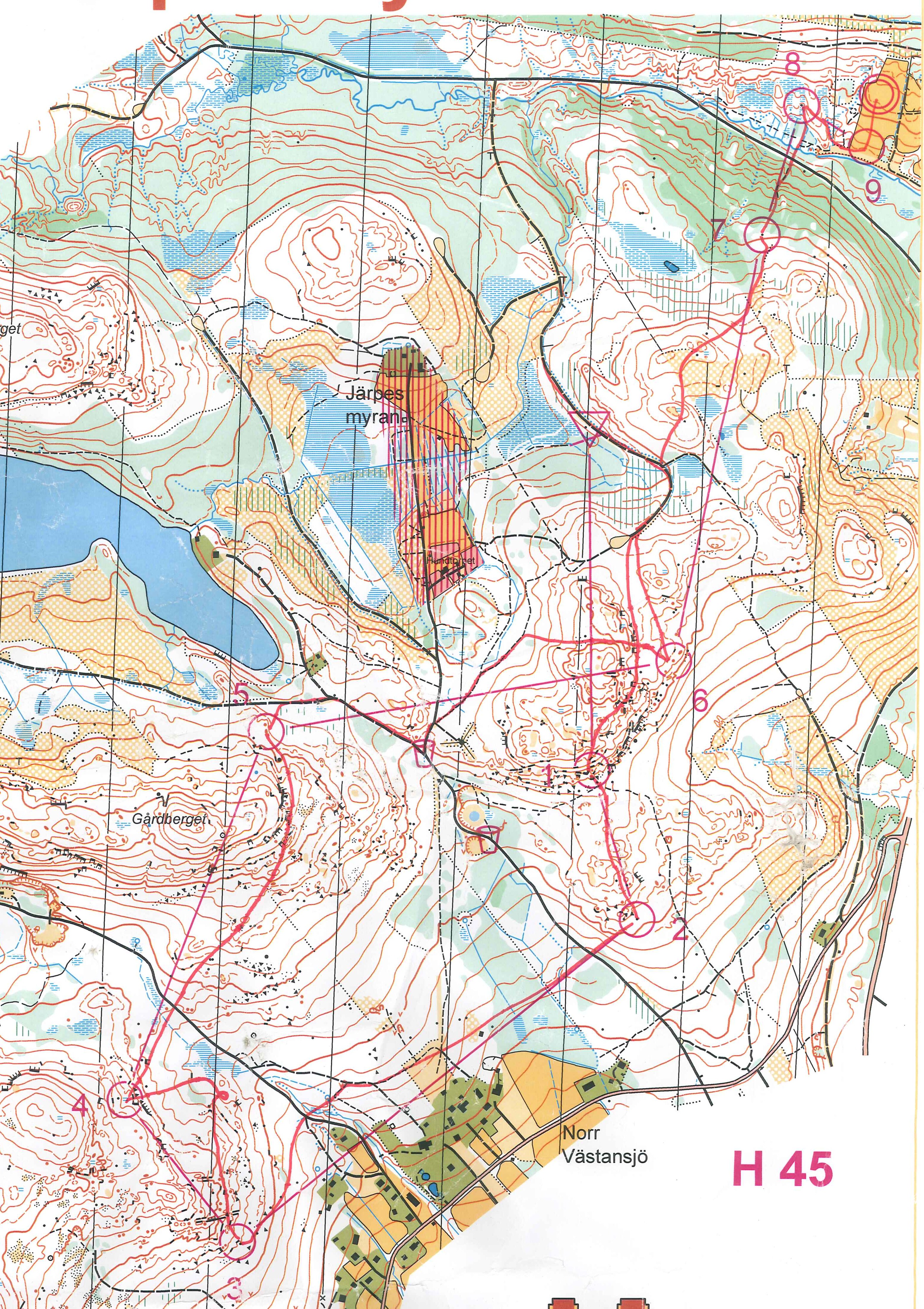 Skogslöparna (2010-05-30)