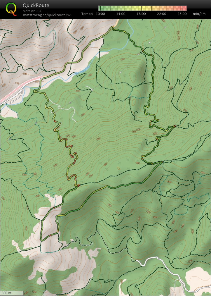 Förmiddagsvandring (05/06/2022)