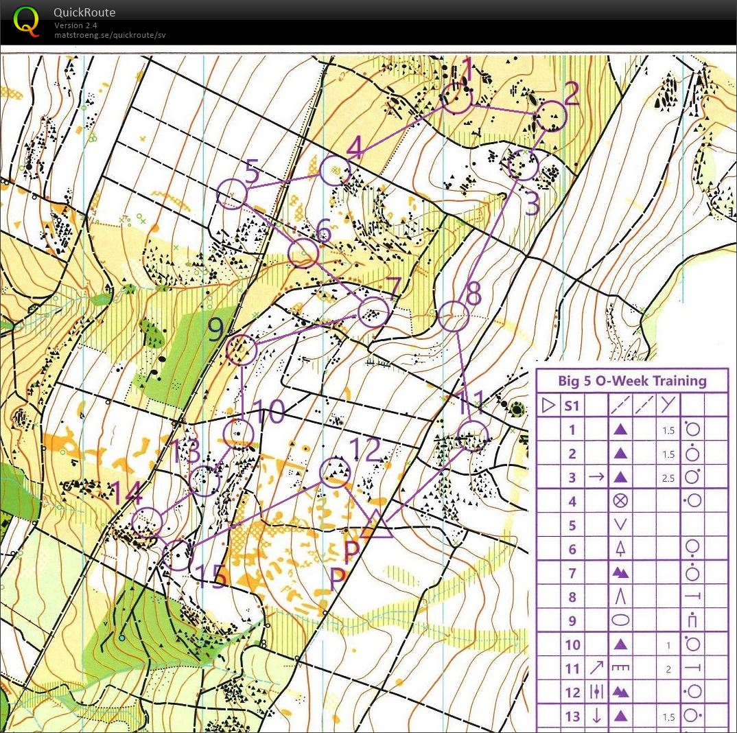 Barrskogsbana (06/11/2022)