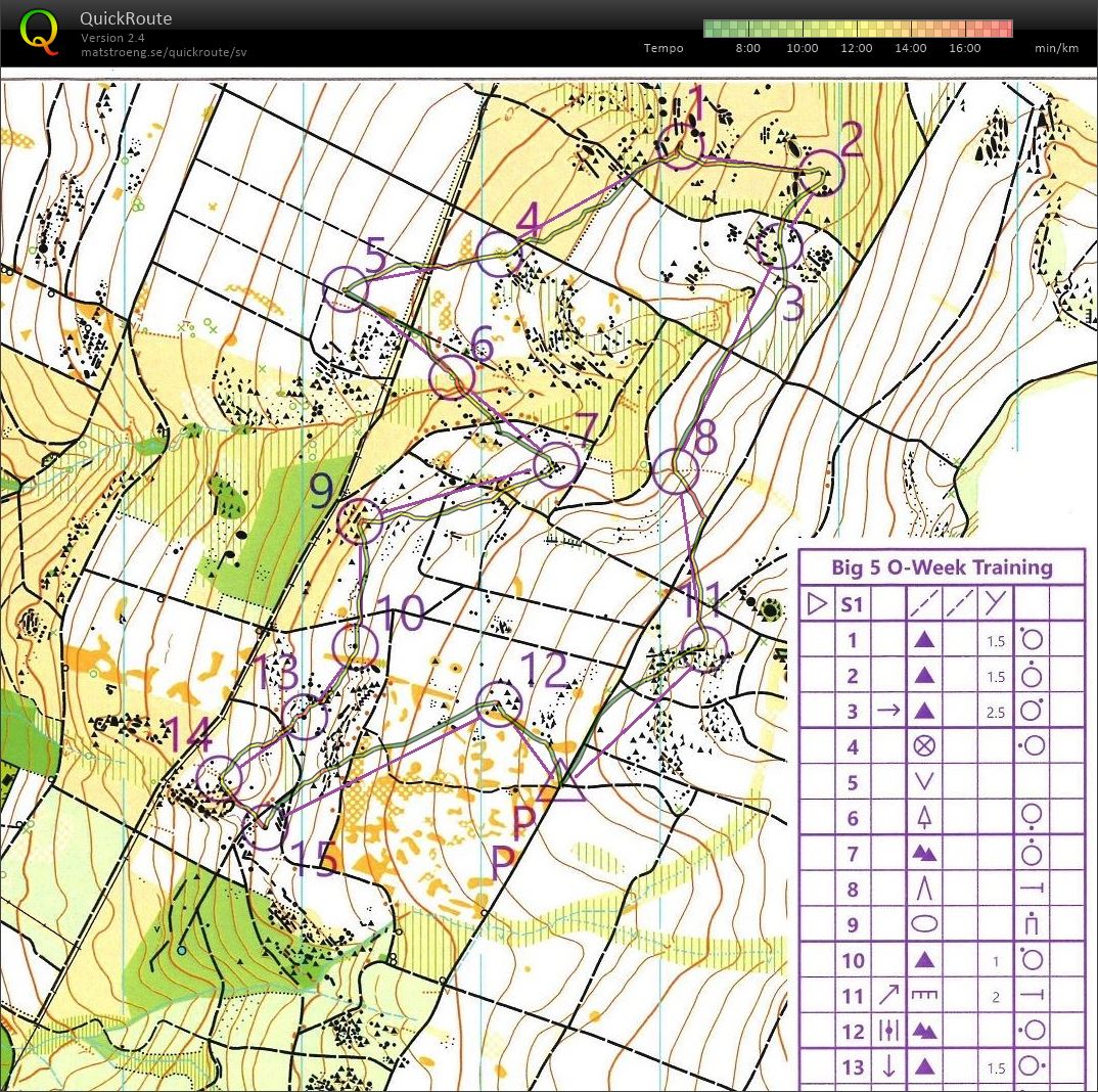 Barrskogsbana (06/11/2022)