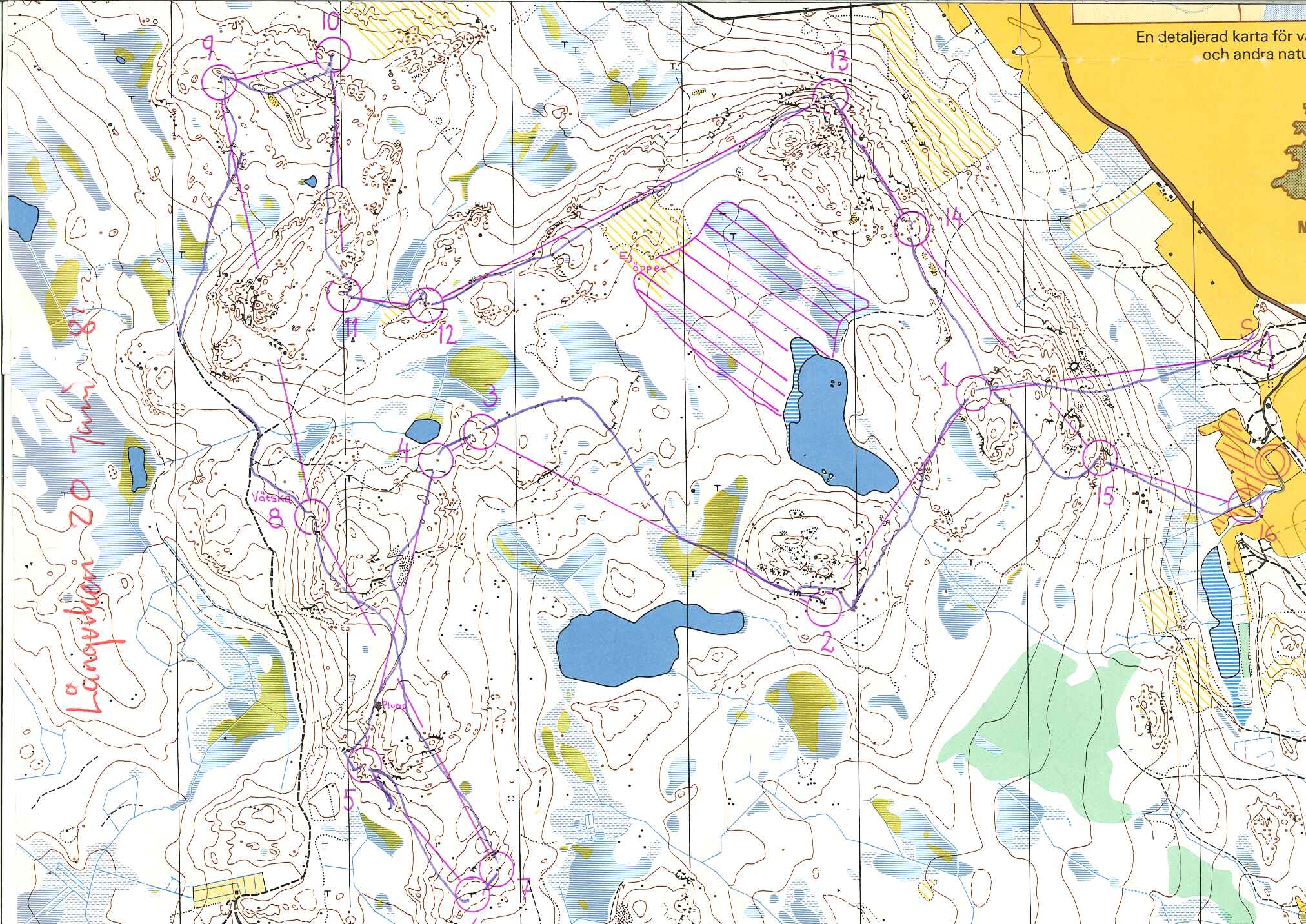 Långviken (20-06-1981)